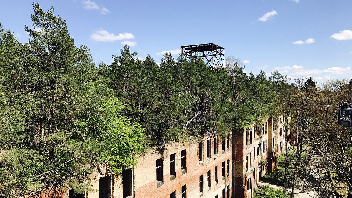 Baumwipfelpfad Beelitz-Heilstätten